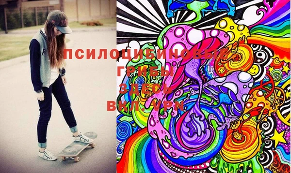 тгк Баксан